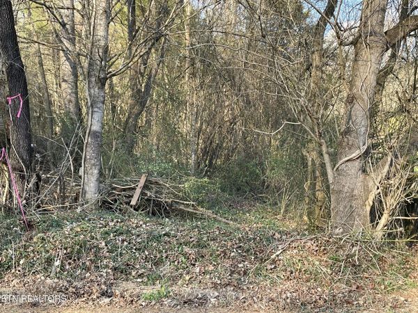 Crowder Rd, Madisonville, TN 37354