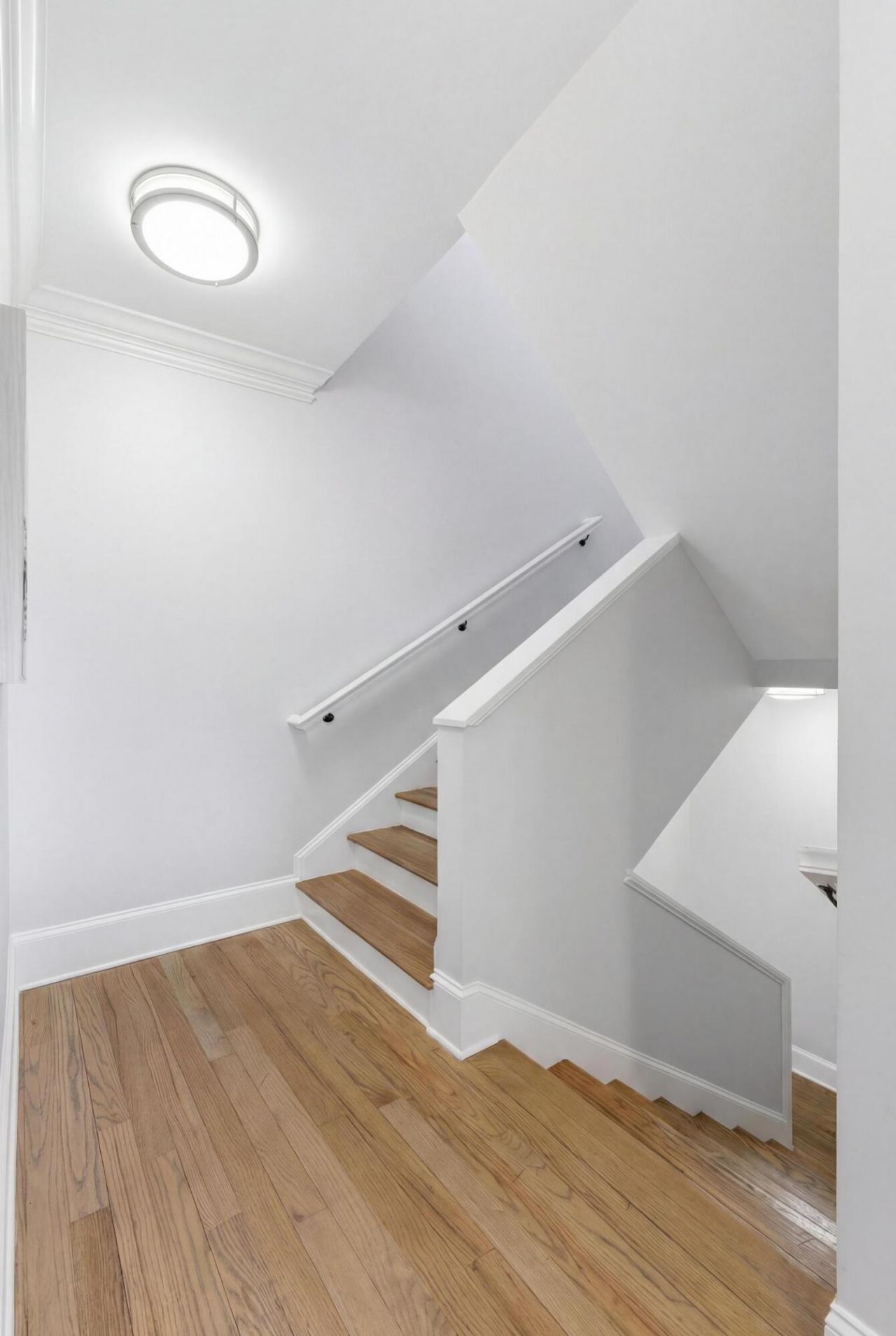 3705 Palm Boulevard Photo 36