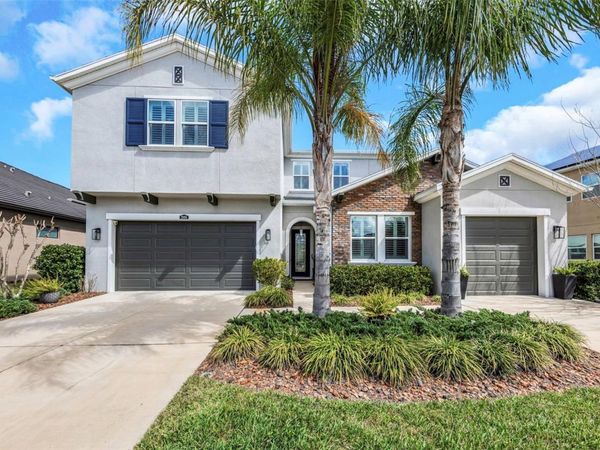 29494 PICANA LANE, WESLEY CHAPEL, FL 33543