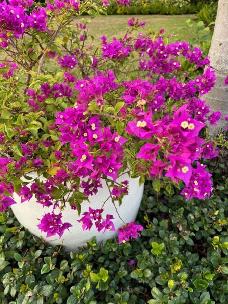 6113 Payne Stewart Drive, Windermere, FL 34786 Photo