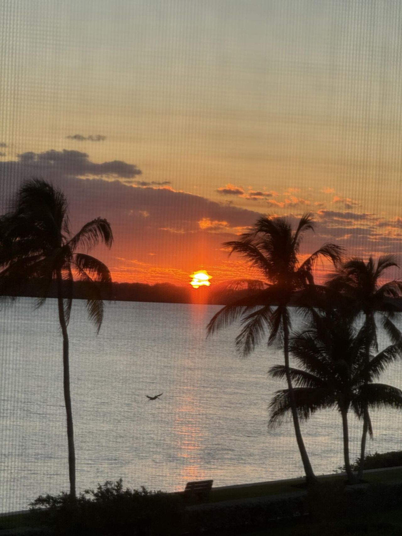 2820 SE Dune Drive, Unit 2306, Stuart, FL 34996 Photo