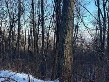 1607 SUMMIT DRIVE , HAYMARKET, VA 20169