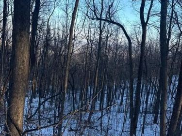 1609 SUMMIT DRIVE , HAYMARKET, VA 20169