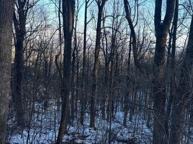 16209 SUMNEY DRIVE , HAYMARKET, VA 20169