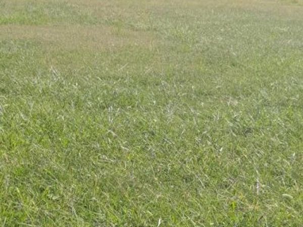 2130 WINDSOR DRIVE, SALISBURY, MD 21801