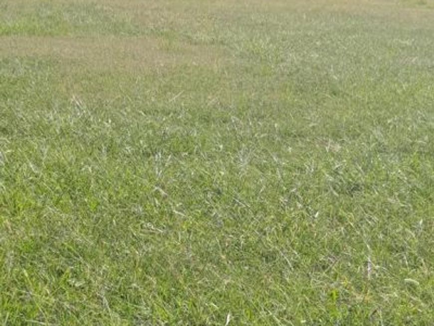 2130 Windsor Drive, Salisbury, MD 21801 Main Photo