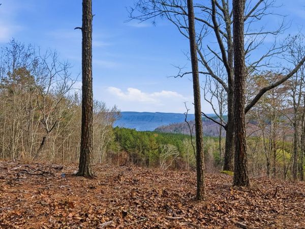 2154 Fallen Oak Pass, Guild, TN 37340