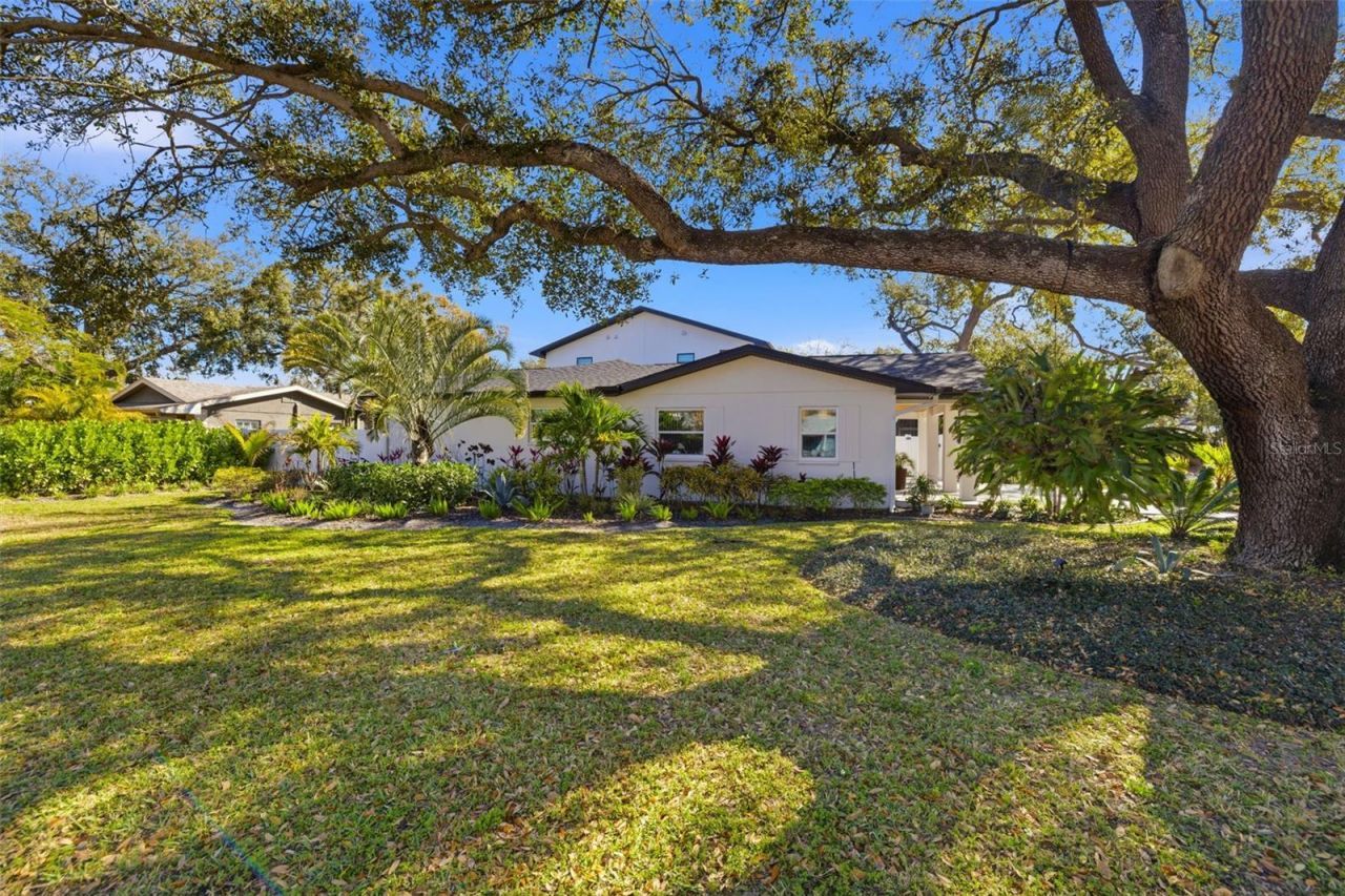 639 43rd Avenue N, Saint Petersburg, FL 33703 Photo