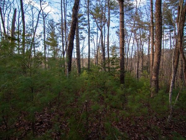 3 Rock Creek, Cherry Log, GA 30522