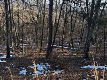 16211 SUMNEY DRIVE , HAYMARKET, VA 20169