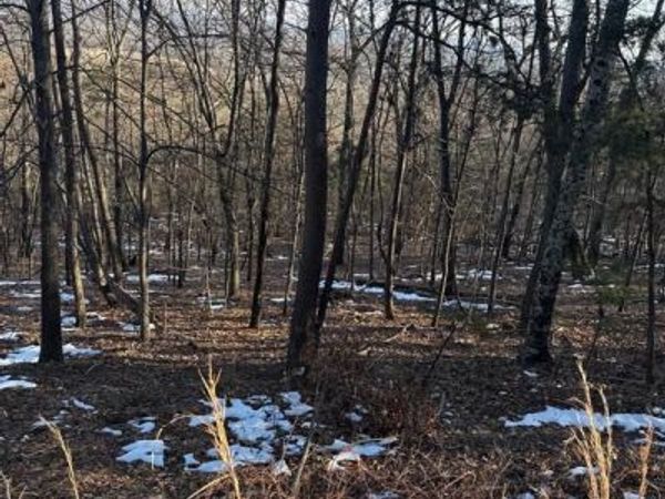 16211 SUMNEY DRIVE, HAYMARKET, VA 20169