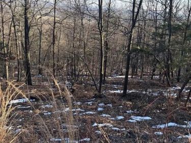 16251 SUMNEY DRIVE , HAYMARKET, VA 20169