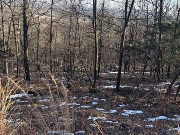 16251 SUMNEY DRIVE, HAYMARKET, VA 20169