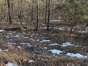 16253 SUMNEY DRIVE , HAYMARKET, VA 20169