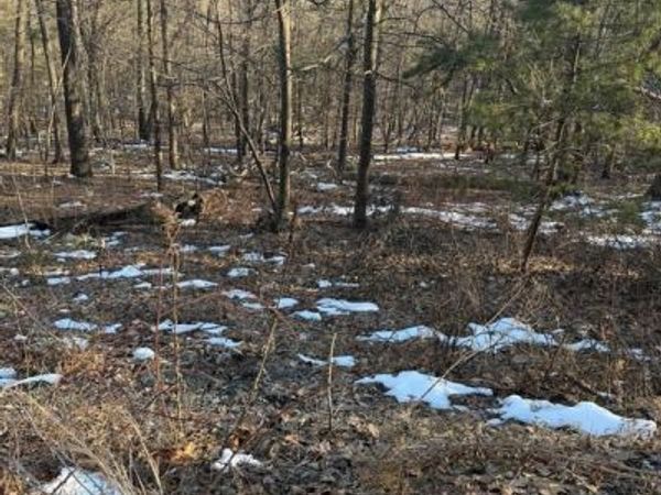 16253 SUMNEY DRIVE, HAYMARKET, VA 20169