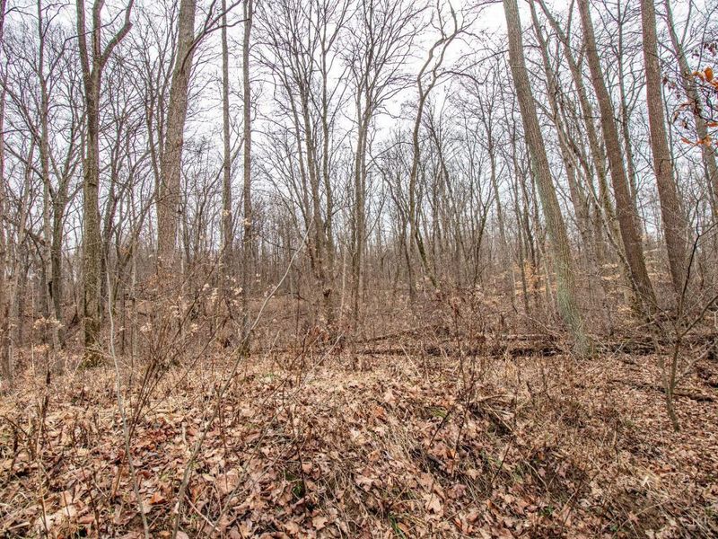 5400 Dry Run Road, Miami Twp, OH 45150 Photo 15