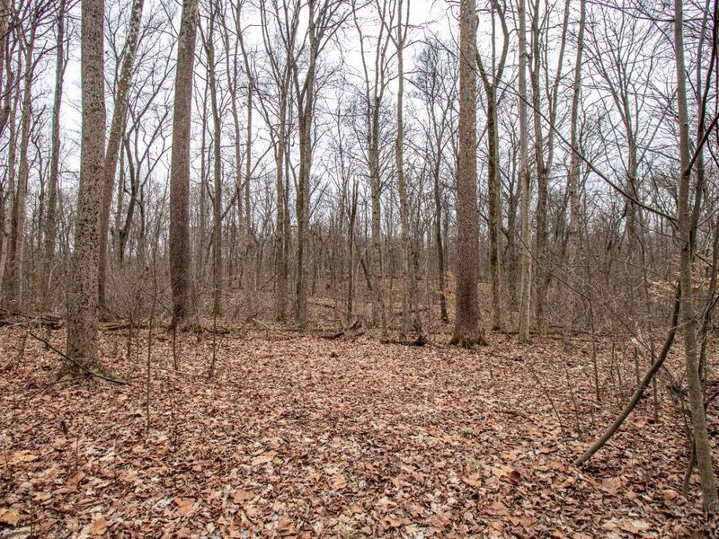 5400 Dry Run Road, Miami Twp, OH 45150 Photo 16