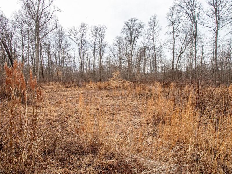 5400 Dry Run Road, Miami Twp, OH 45150 Photo 17