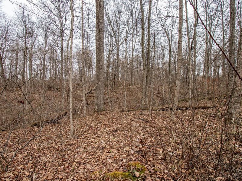 5400 Dry Run Road, Miami Twp, OH 45150 Photo 20