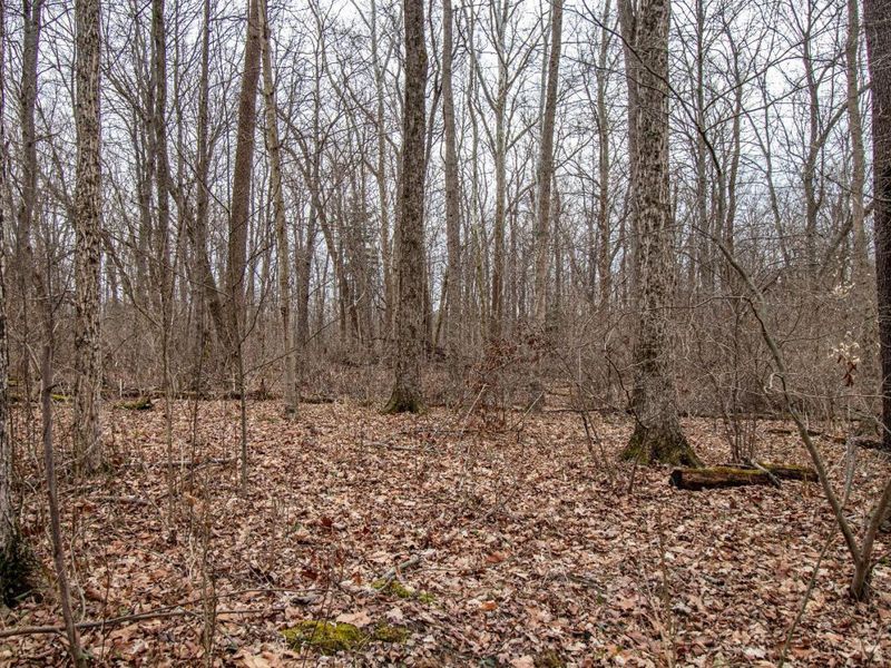 5400 Dry Run Road, Miami Twp, OH 45150 Photo 24