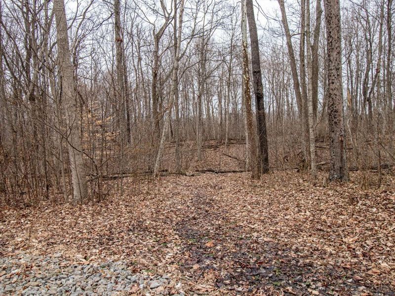 5400 Dry Run Road, Miami Twp, OH 45150 Photo 29