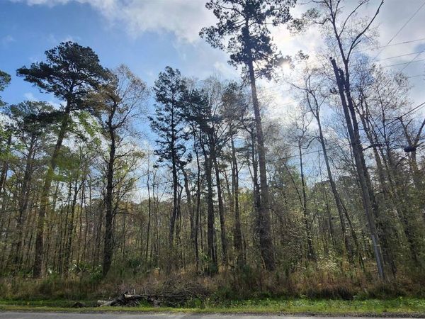 Tract A-4 Reinninger Rd, Denham Springs, LA 70706