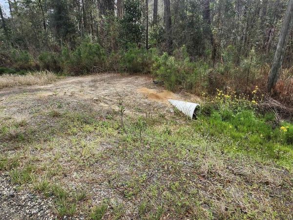 Tract A-6 Reinninger Rd, Denham Springs, LA 70706