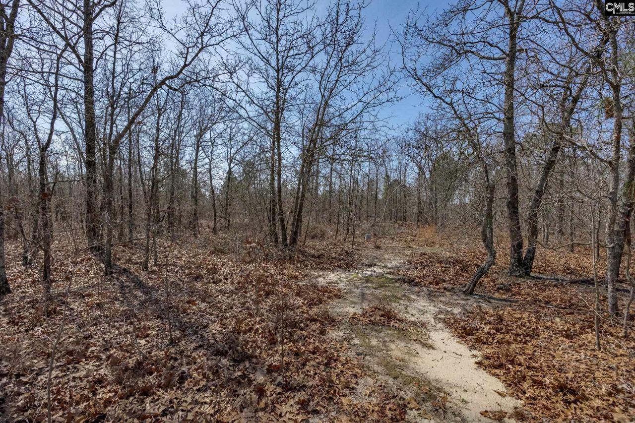 331 Freeman Drive Photo 36