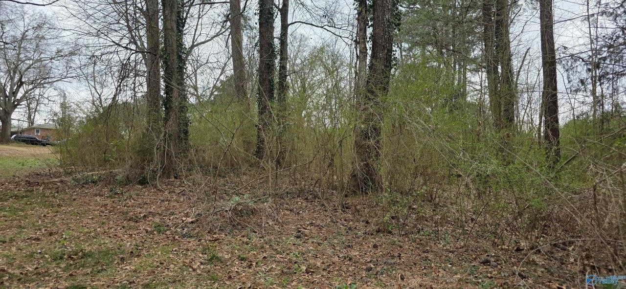Lot 7b Goehler Road, Cullman, AL 35055 Main Photo