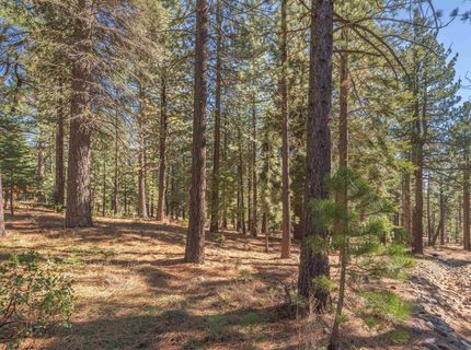 11925 Saddleback Drive, Truckee, CA 96161 Photo