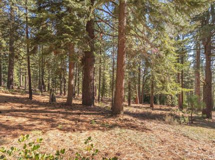 11925 Saddleback Drive, Truckee, CA 96161 Photo