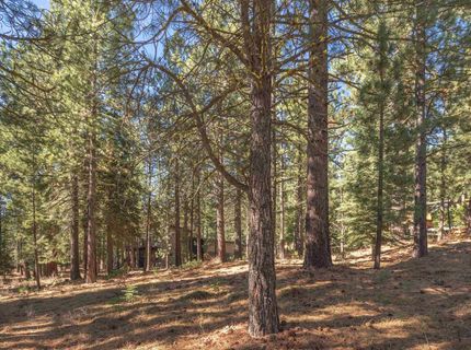 11925 Saddleback Drive, Truckee, CA 96161 Photo