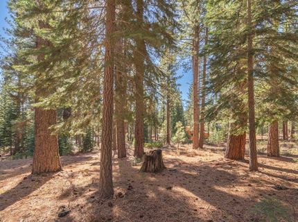 11925 Saddleback Drive, Truckee, CA 96161 Photo