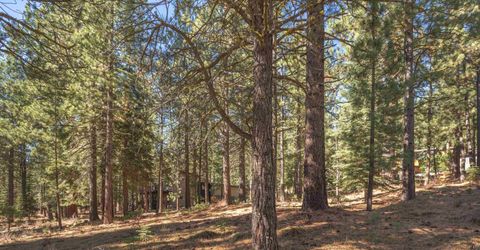 11925 Saddleback Drive, Truckee, CA 96161 Photo