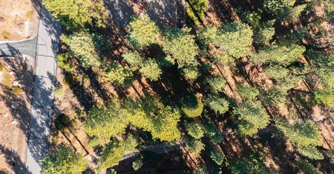 11925 Saddleback Drive, Truckee, CA 96161 Photo