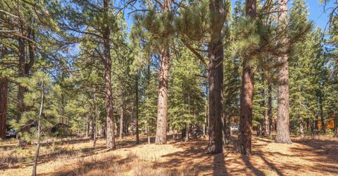 11925 Saddleback Drive, Truckee, CA 96161 Photo