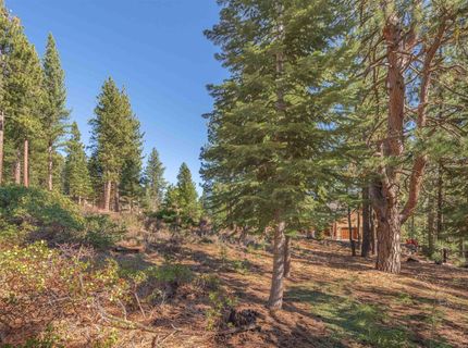 11925 Saddleback Drive, Truckee, CA 96161 Photo