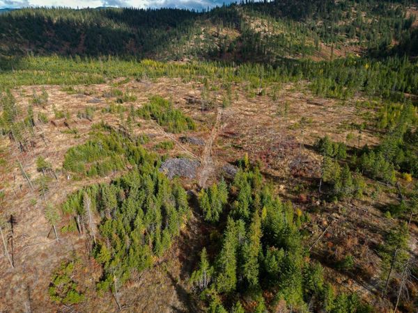 4684 Grouse Creek Rd, Chewelah, WA 99109