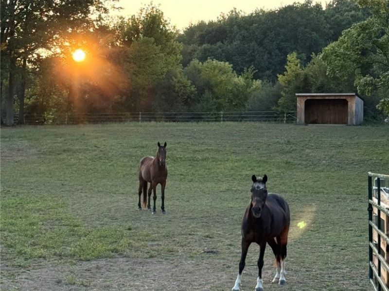 4556 Rootstown Road, Ravenna, OH 44266 Photo 49