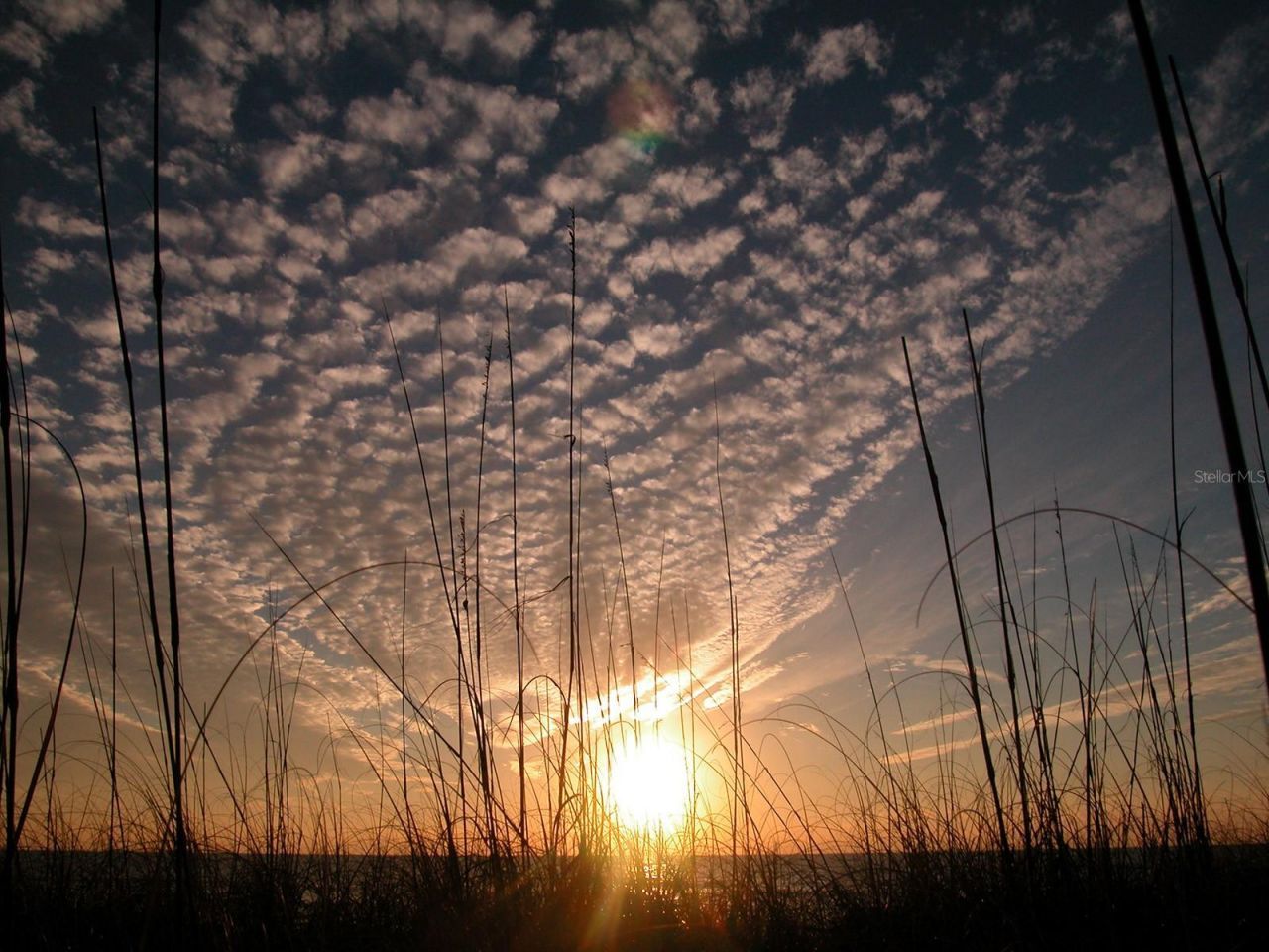 2450 Harbourside Drive, Unit 212, Longboat Key, FL 34228 Photo