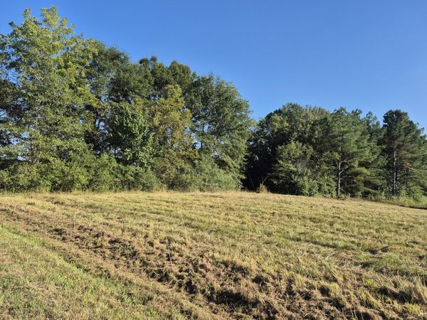 Coggin Ave, Nettleton, MS 38858