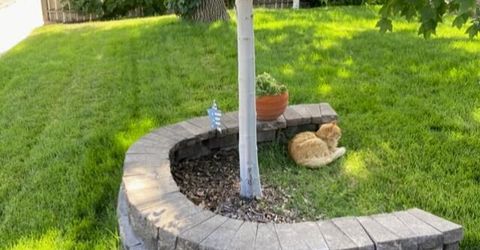 2475 Stine Way, Sparks, NV 89431 Photo