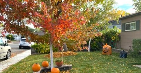 2475 Stine Way, Sparks, NV 89431 Photo