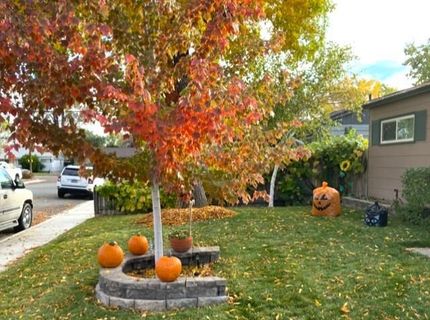 2475 Stine Way, Sparks, NV 89431 Photo