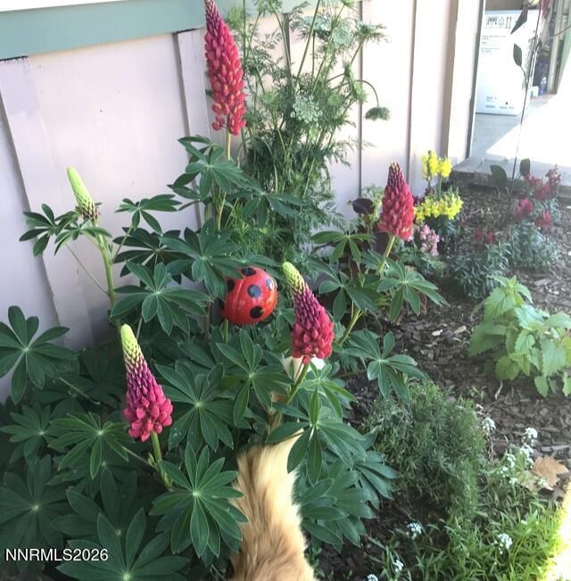 2475 Stine Way, Sparks, NV 89431 Photo