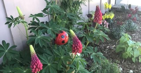 2475 Stine Way, Sparks, NV 89431 Photo