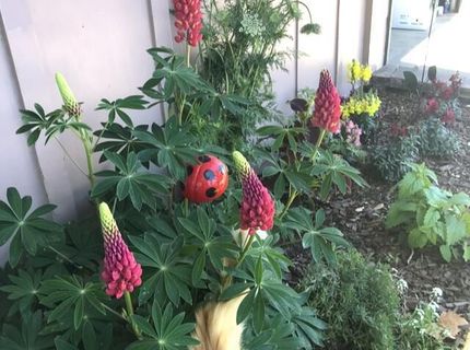 2475 Stine Way, Sparks, NV 89431 Photo