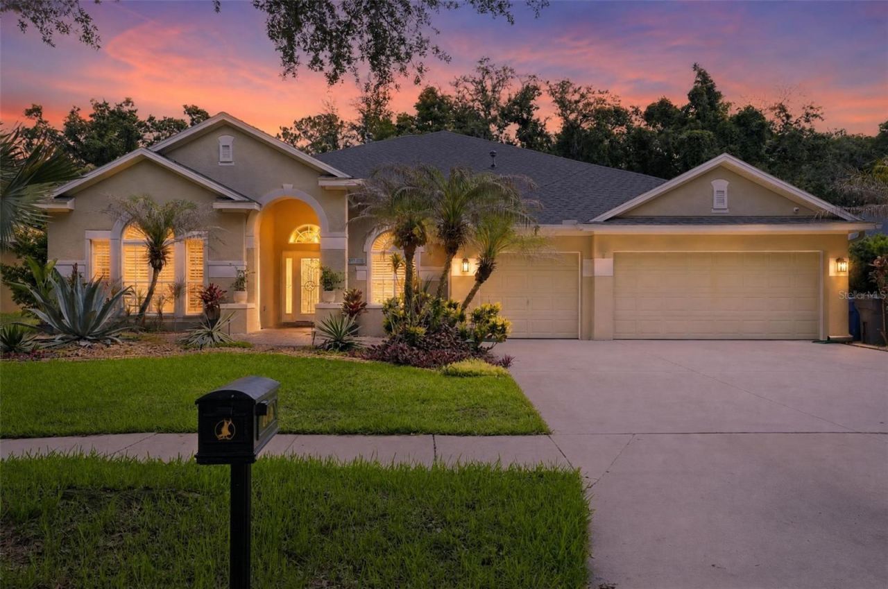15020 Eaglerise Drive, Lithia, FL 33547 Main Photo
