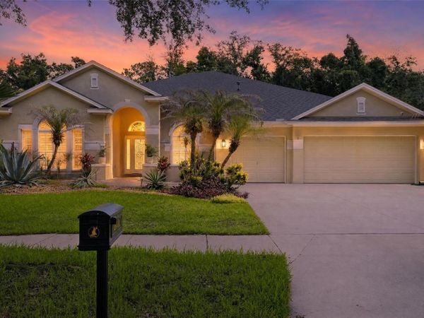 15020 EAGLERISE DRIVE, LITHIA, FL 33547