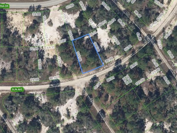 370 SUN AVENUE , LAKE PLACID, FL 33852